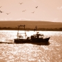 Poole Fishing Boat